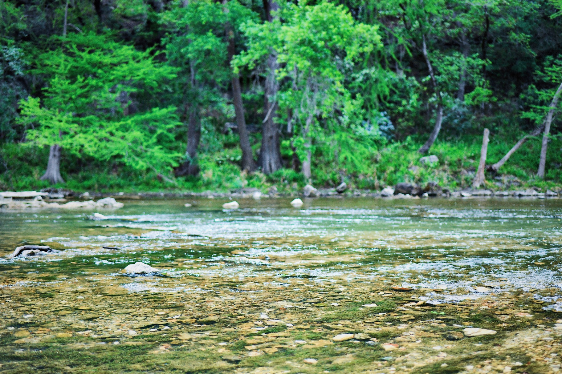 Crystal clear river water with rocks