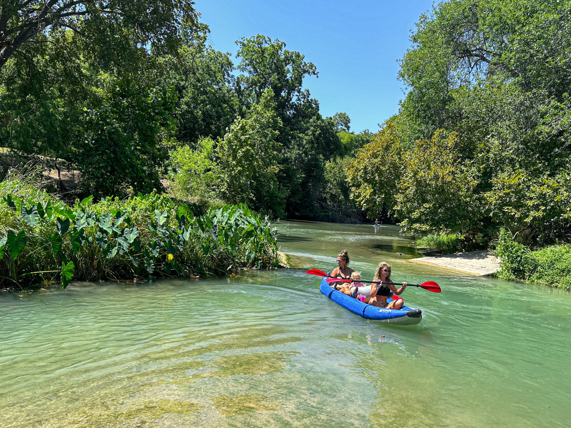 Family kayaking on the San Marcos River