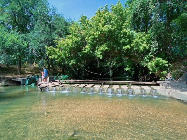 Creek dam waterfall