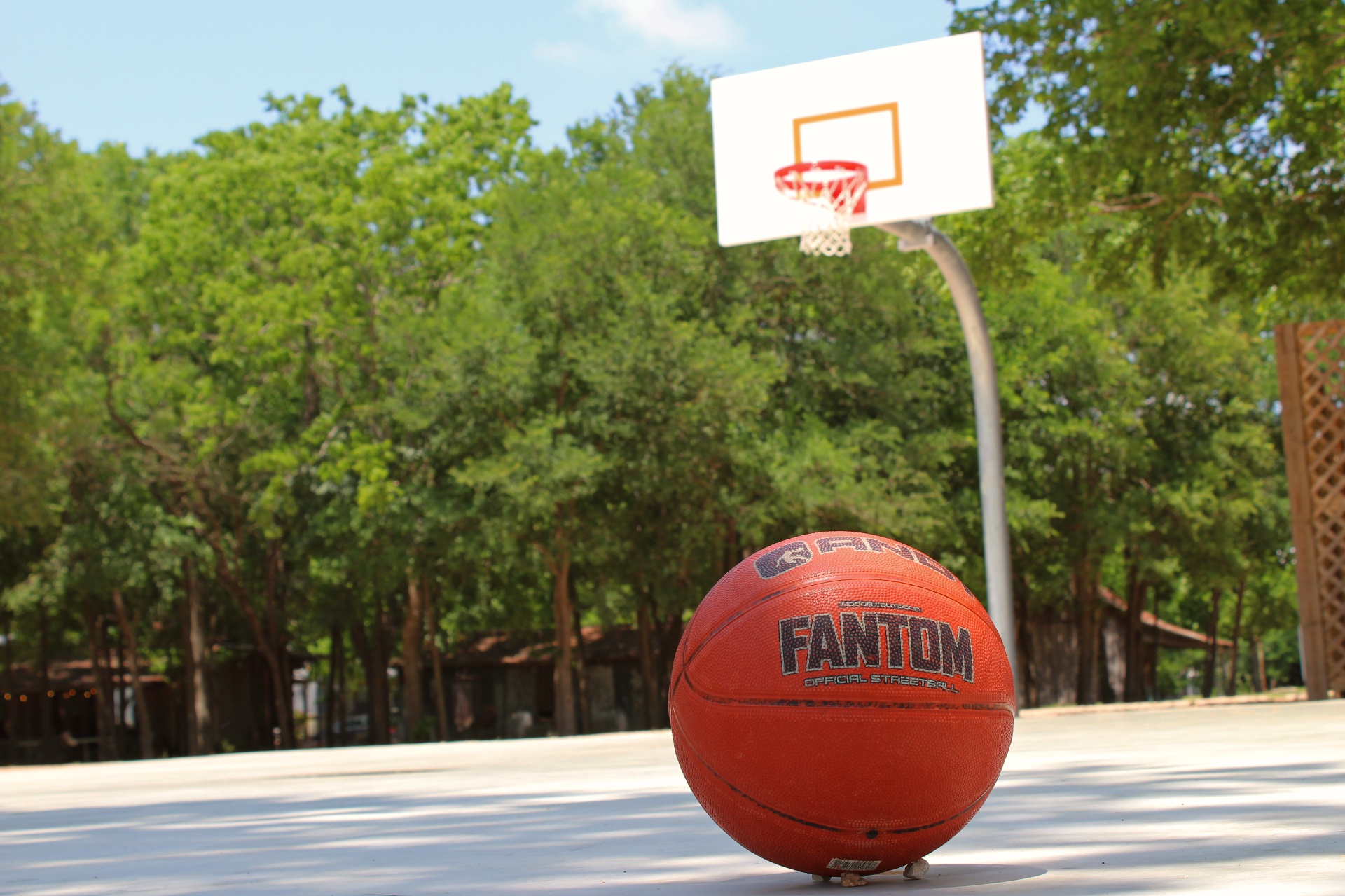 Birdhouse cabin interior 10