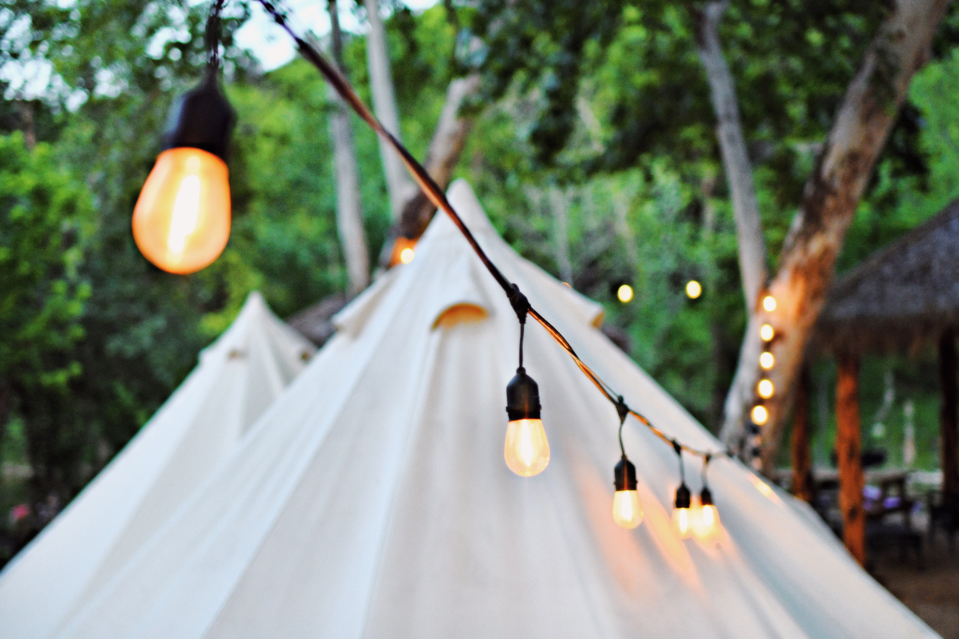 Glamping tent with string lights at dusk